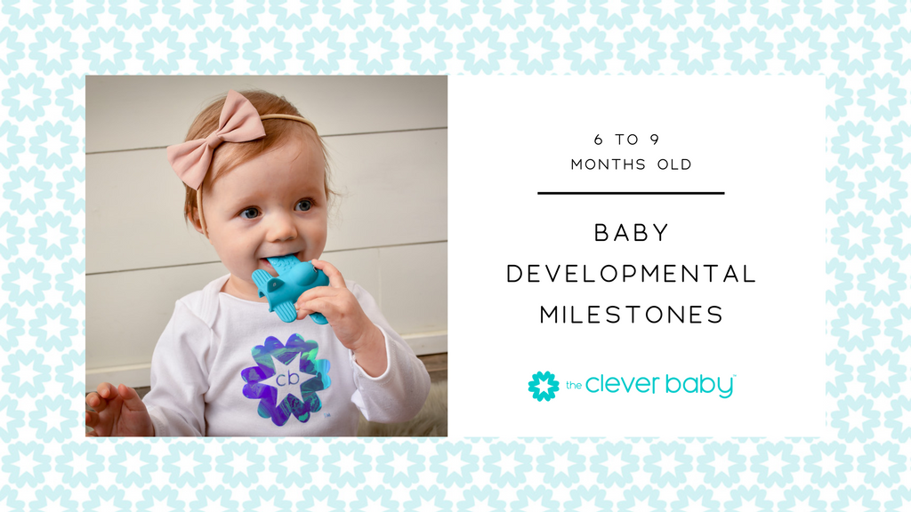 Baby Developmental Milestones: 6 to 9 months