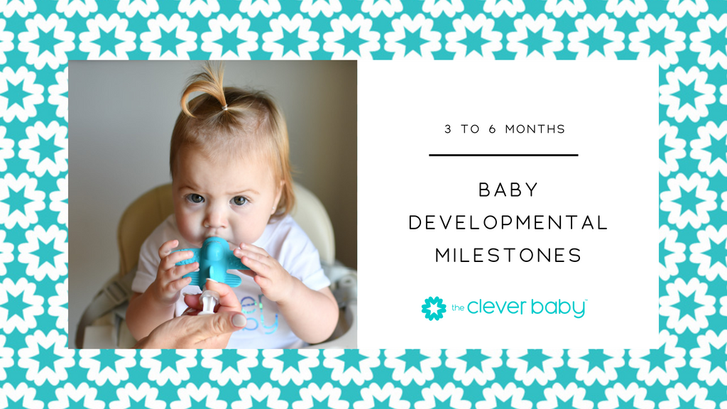 Baby Developmental Milestones: 3 to 6 months