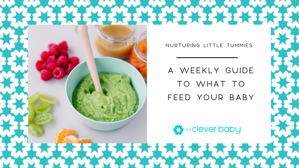 Nurturing Little Tummies: A Weekly Menu to What to Feed Your Baby